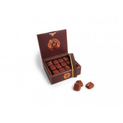 Assortiment chocolats au lait 240g