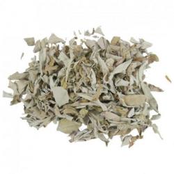 Sauge blanche Californie Feuilles en vrac 50g