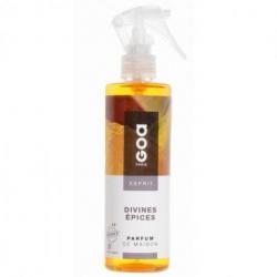 Vaporisateur Divines Épices - Goa Esprit 250ml